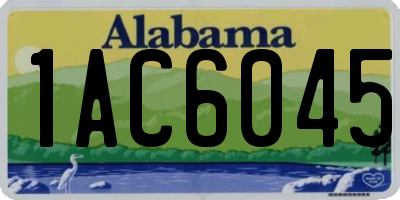 AL license plate 1AC6045