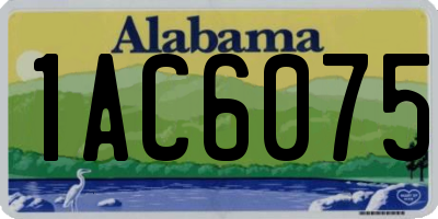 AL license plate 1AC6075