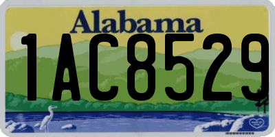 AL license plate 1AC8529