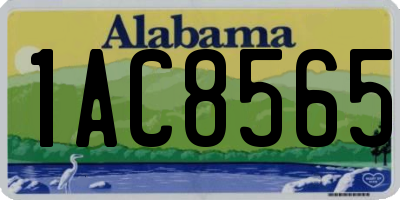 AL license plate 1AC8565