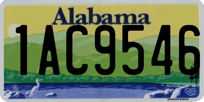 AL license plate 1AC9546