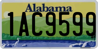 AL license plate 1AC9599