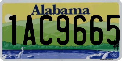 AL license plate 1AC9665