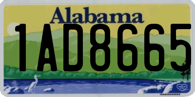 AL license plate 1AD8665