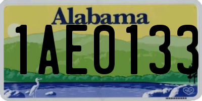 AL license plate 1AE0133
