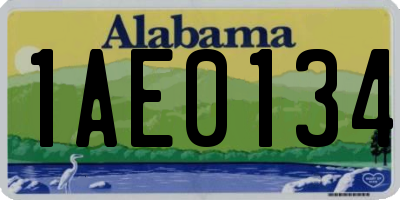 AL license plate 1AE0134