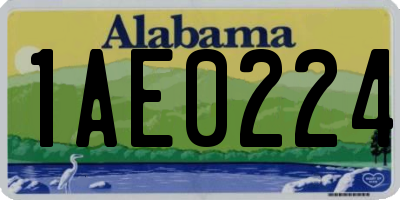 AL license plate 1AE0224