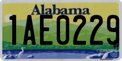 AL license plate 1AE0229