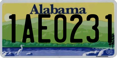 AL license plate 1AE0231