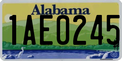 AL license plate 1AE0245