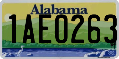 AL license plate 1AE0263