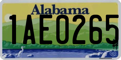 AL license plate 1AE0265