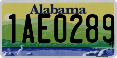 AL license plate 1AE0289