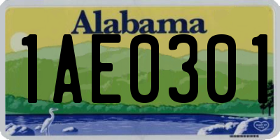 AL license plate 1AE0301