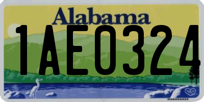 AL license plate 1AE0324
