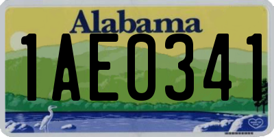 AL license plate 1AE0341