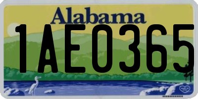 AL license plate 1AE0365