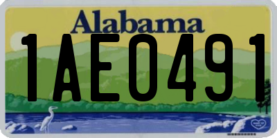 AL license plate 1AE0491