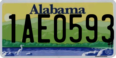 AL license plate 1AE0593