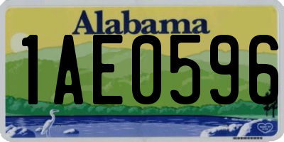 AL license plate 1AE0596