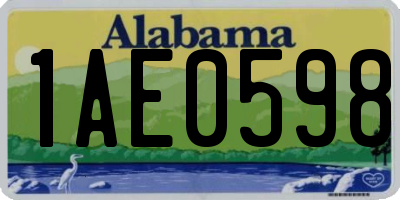 AL license plate 1AE0598