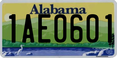 AL license plate 1AE0601