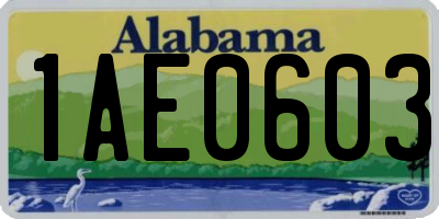 AL license plate 1AE0603