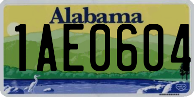 AL license plate 1AE0604