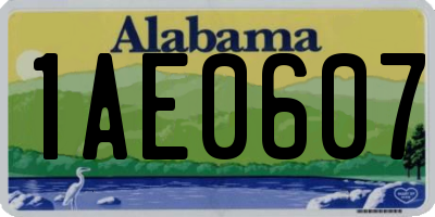 AL license plate 1AE0607