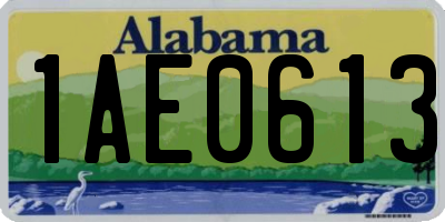 AL license plate 1AE0613