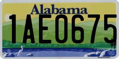 AL license plate 1AE0675