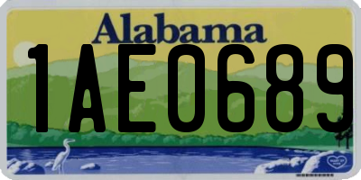 AL license plate 1AE0689