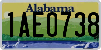 AL license plate 1AE0738