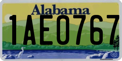 AL license plate 1AE0767