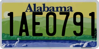 AL license plate 1AE0791