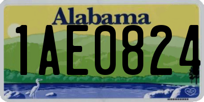 AL license plate 1AE0824