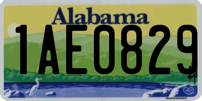 AL license plate 1AE0829