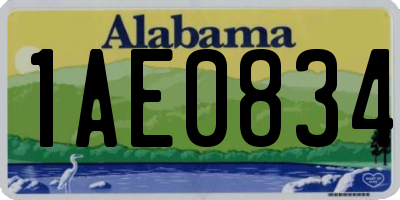 AL license plate 1AE0834