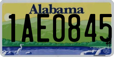 AL license plate 1AE0845