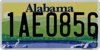 AL license plate 1AE0856