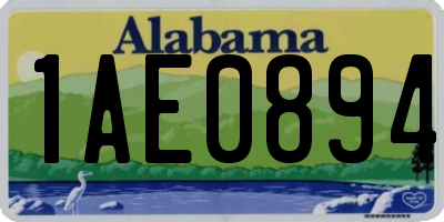 AL license plate 1AE0894