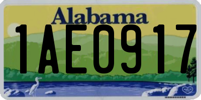AL license plate 1AE0917