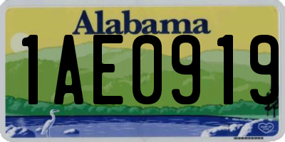 AL license plate 1AE0919