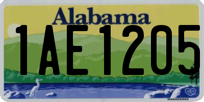 AL license plate 1AE1205