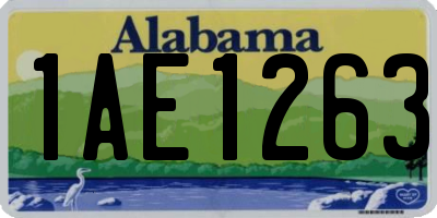 AL license plate 1AE1263