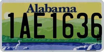 AL license plate 1AE1636
