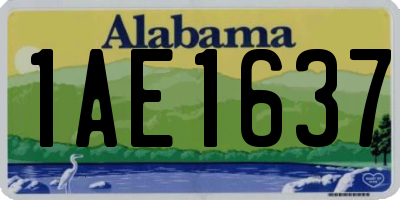 AL license plate 1AE1637