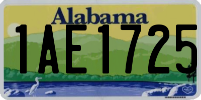 AL license plate 1AE1725