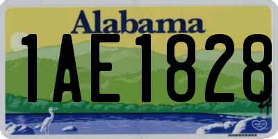 AL license plate 1AE1828