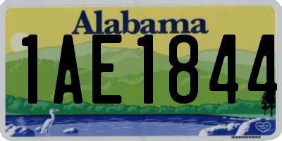 AL license plate 1AE1844